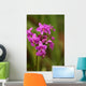 Close-Up Of A Cluster Of Bright Pink Orchids Wall Mural