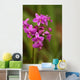 Close-Up Of A Cluster Of Bright Pink Orchids Wall Mural
