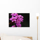Close-Up Of A Cluster Of Bright Pink Orchids Wall Mural