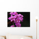 Close-Up Of A Cluster Of Bright Pink Orchids Wall Mural