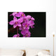 Close-Up Of A Cluster Of Bright Pink Orchids Wall Mural