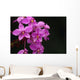 Close-Up Of A Cluster Of Bright Pink Orchids Wall Mural