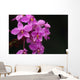 Close-Up Of A Cluster Of Bright Pink Orchids Wall Mural