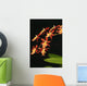 Close-Up Of Bright Orange Orchids Wall Mural