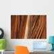 Close-Up Of Coconut Palm Fronds Wall Mural