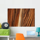 Close-Up Of Coconut Palm Fronds Wall Mural