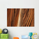 Close-Up Of Coconut Palm Fronds Wall Mural