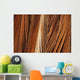 Close-Up Of Coconut Palm Fronds Wall Mural