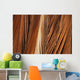 Close-Up Of Coconut Palm Fronds Wall Mural