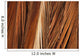 Close-Up Of Coconut Palm Fronds Wall Mural