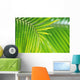 Thailand, Nong Bua Lumphu, Close-Up Of Palm Leaves Wall Mural