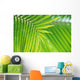 Thailand, Nong Bua Lumphu, Close-Up Of Palm Leaves Wall Mural