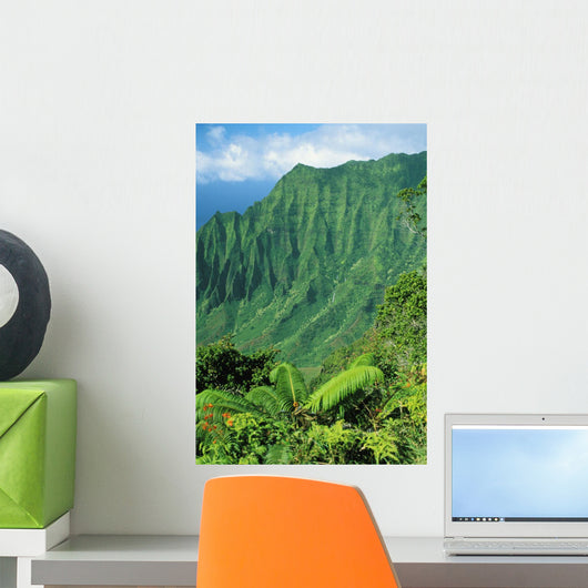 Hawaii, Kauai, Na Pali Coast, Overlooking Kalalau Valley Wall Mural