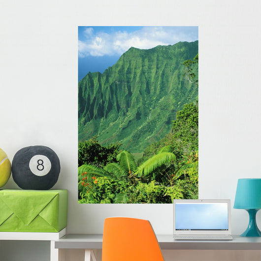 Hawaii, Kauai, Na Pali Coast, Overlooking Kalalau Valley Wall Mural