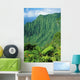 Hawaii, Kauai, Na Pali Coast, Overlooking Kalalau Valley Wall Mural