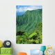 Hawaii, Kauai, Na Pali Coast, Overlooking Kalalau Valley Wall Mural