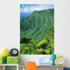 Hawaii, Kauai, Na Pali Coast, Overlooking Kalalau Valley Wall Mural