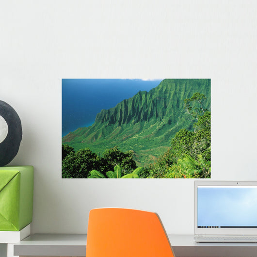 Hawaii, Kauai, Na Pali Coast, Overlooking Kalalau Valley Wall Mural