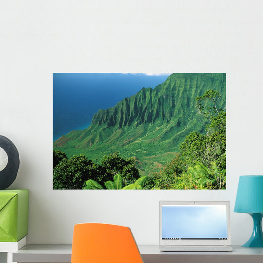 Hawaii, Kauai, Na Pali Coast, Overlooking Kalalau Valley Wall Mural
