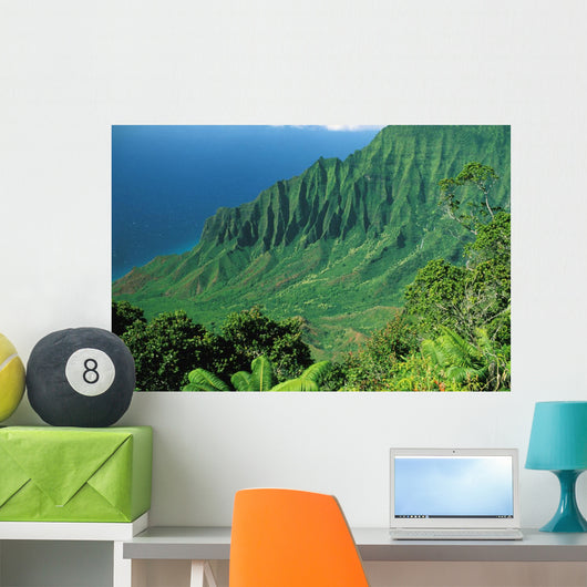 Hawaii, Kauai, Na Pali Coast, Overlooking Kalalau Valley Wall Mural