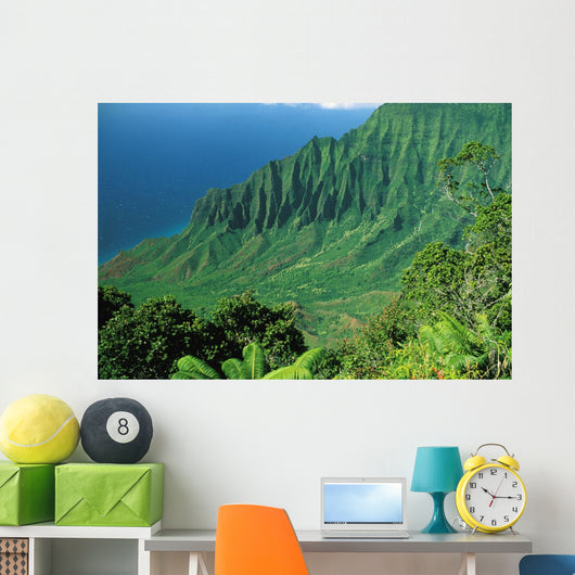 Hawaii, Kauai, Na Pali Coast, Overlooking Kalalau Valley Wall Mural