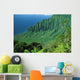 Hawaii, Kauai, Na Pali Coast, Overlooking Kalalau Valley Wall Mural