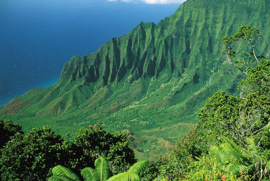 Hawaii, Kauai, Na Pali Coast, Overlooking Kalalau Valley Wall Mural