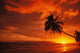 Hawaii, Maui, A Beautiful Sunset At Olowalu Wall Mural