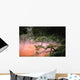 Japan, Beppu Kyushu, Mist From Chinoike Jigoku Red Volcanic Pool Wall Mural