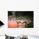 Japan, Beppu Kyushu, Mist From Chinoike Jigoku Red Volcanic Pool Wall Mural