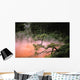 Japan, Beppu Kyushu, Mist From Chinoike Jigoku Red Volcanic Pool Wall Mural