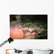 Japan, Beppu Kyushu, Mist From Chinoike Jigoku Red Volcanic Pool Wall Mural