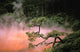 Japan, Beppu Kyushu, Mist From Chinoike Jigoku Red Volcanic Pool Wall Mural