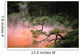 Japan, Beppu Kyushu, Mist From Chinoike Jigoku Red Volcanic Pool Wall Mural