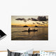 Man And Dog On A One-Man Outrigger Canoe At Sunset Wall Mural