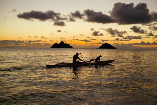 Man And Dog On A One-Man Outrigger Canoe At Sunset Wall Mural