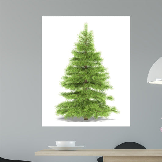 Spruce