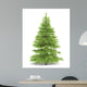 Spruce