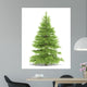 Spruce