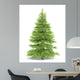 Spruce