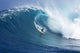Hawaii, Maui, Yuri Farrant Surfs Huge Wave At Jaws, Aka Peahi Wall Mural