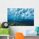 Hawaii, Underwater View Of Wave Breaking Over Shallow Reef Wall Mural