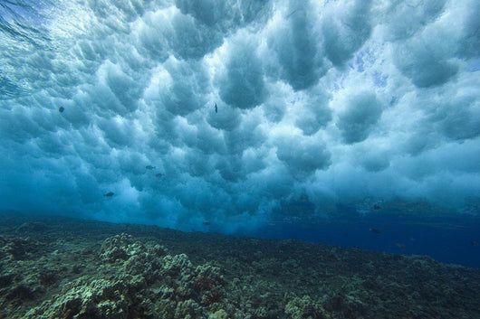Hawaii, Underwater View Of Wave Breaking Over Shallow Reef Wall Mural