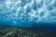 Hawaii, Underwater View Of Wave Breaking Over Shallow Reef Wall Mural