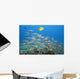 Hawaii, A School Of Yellowfin Goatfish Wall Mural