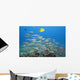 Hawaii, A School Of Yellowfin Goatfish Wall Mural