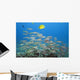 Hawaii, A School Of Yellowfin Goatfish Wall Mural