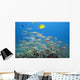 Hawaii, A School Of Yellowfin Goatfish Wall Mural