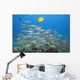 Hawaii, A School Of Yellowfin Goatfish Wall Mural