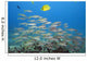 Hawaii, A School Of Yellowfin Goatfish Wall Mural